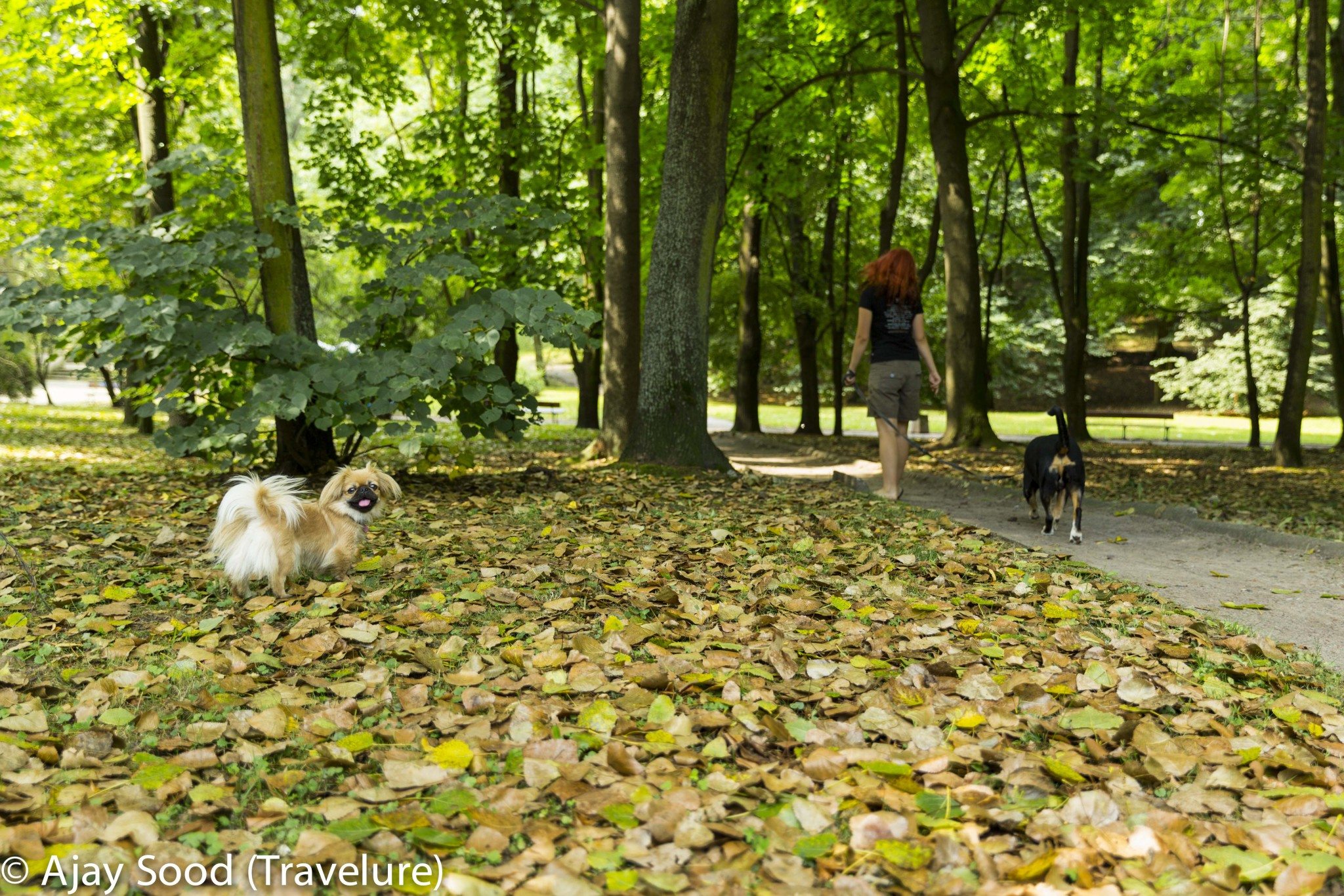 Warsaw: A Phoenix that Rose from its Ashes Warsaw: A Phoenix that Rose from its Ashes