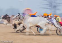 A Travel Photographer Captures Rural Olympics This is a first-person account of how a Travel Photographer Captures Rural Olympics
