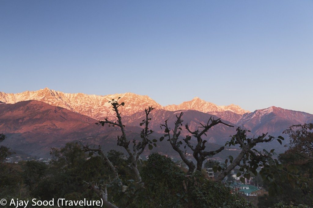 Dharamshala - Doorstep of Dazzling Dhauladhar