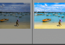 Using Lightroom – A Simple Workflow Using Lightroom - A Simple Workflow