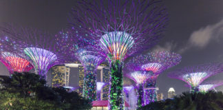 Singapore Super Structures to Look up to Singapore Super Structures to Look up to