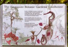 Singapore Botanic Gardens – A Forest in the City Singapore Botanic Gardens - A Forest in the City with some vicious plants