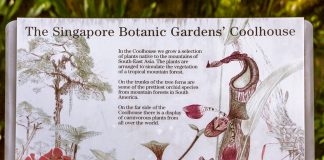 Singapore Botanic Gardens – A Forest in the City Singapore Botanic Gardens - A Forest in the City with some vicious plants