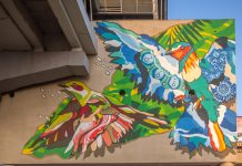 The City Is Their Canvas Colourful drawings of kingfisher and mynah birds juxtapose nature on this urban landscape - The City Is Their Canvas