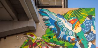 The City Is Their Canvas Colourful drawings of kingfisher and mynah birds juxtapose nature on this urban landscape - The City Is Their Canvas