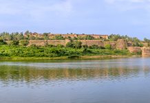 A Taste of South in Central India