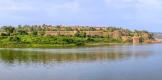 A Taste of South in Central India