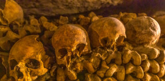 The Catacombs Paris France Skulls break the monotony of a tibiae wall at the Catacombs Paris France - Travelure ©