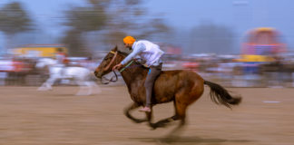 Capturing speed in a still image – Bareback Rider, Kila Raipur Here's a successful attempt to capture speed in a still - bareback rider trying to catch up with the race leader - Travelure ©