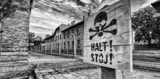 Black & White vs. Colour – How to Choose We like a shot and we feel it would look good in Black & White. The challenge of choosing Black & White over colour and vice versa foxes us. So, the big question is - which of the shots may we render in Black & White? - Black & White vs. Colour - How to Choose - Travelure ©