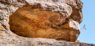 Bhimbetka: My Early Days of Photography The creative-me loved the view. I decided it would be home for some time. As I ventured around the narrow burrows carved by times in those sandstone rocks, I realised those had turned into ortho-quartzite. Little did I know then that they would later call this place Bhimbetka Rock Shelters. - Bhimbetka: My Early Days of Photography - Travelure ©