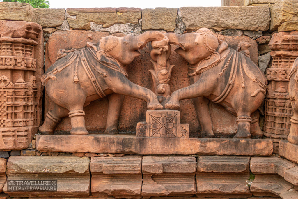 Elephant bas reliefs adorning the platform of Siddhanath Temple - Travelure ©