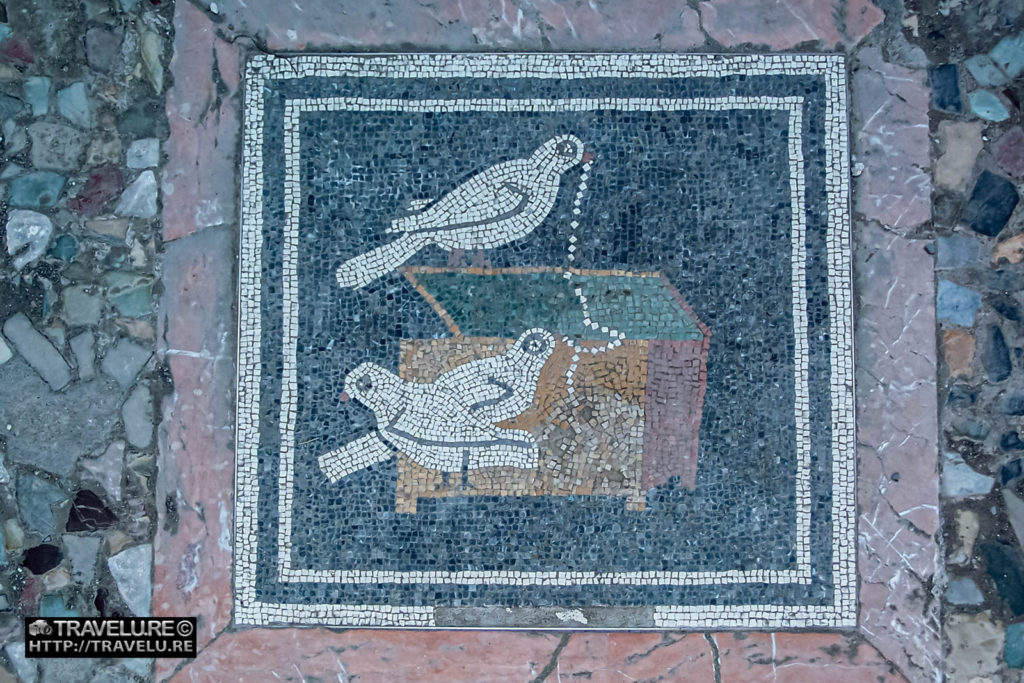 An elaborate floor mosaic - Travelure ©