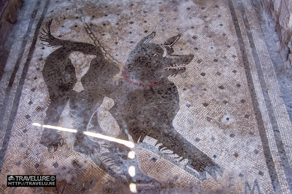 Feral dog floor mosaic - Travelure ©