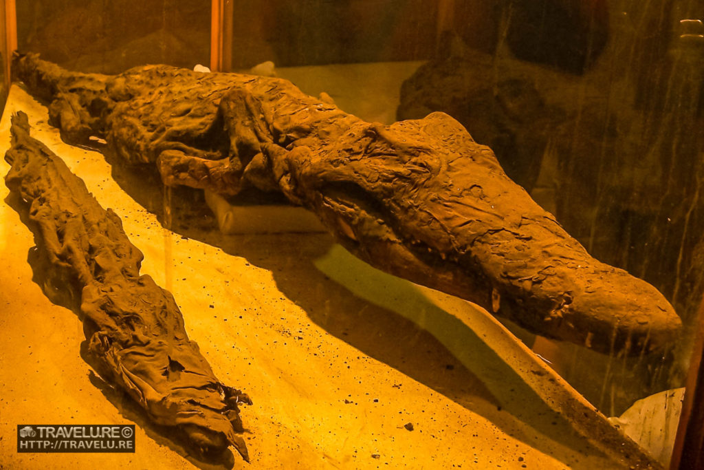 Mummified crocodiles represented Sobek - Travelure ©