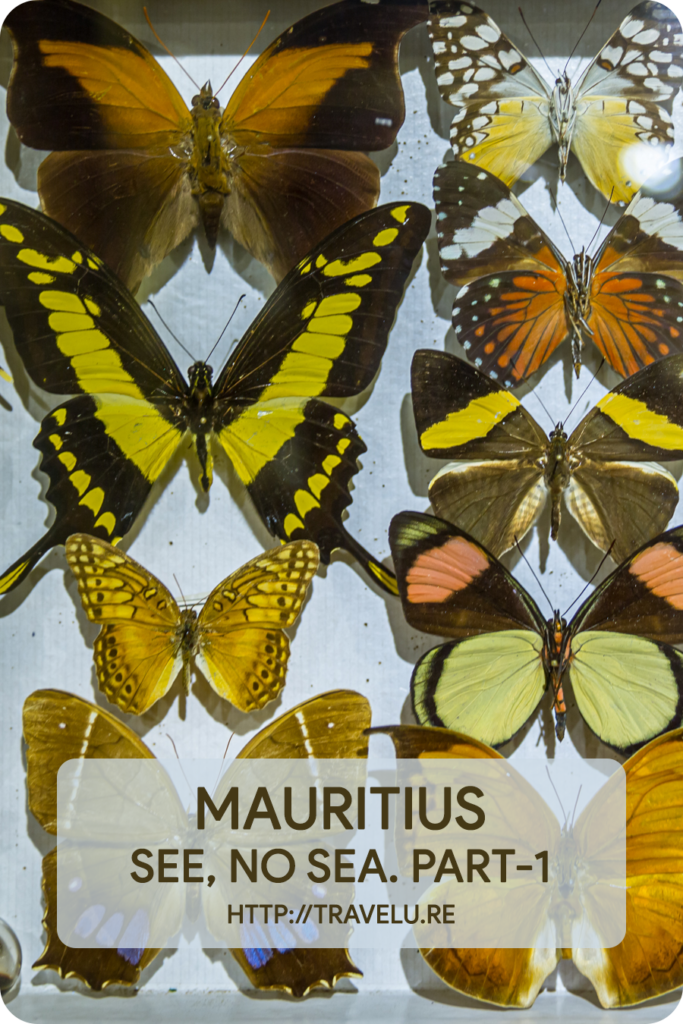 I was all set for the utter predictability of an Island holiday - lazing around on the beach, sipping a fruity cocktail, indulging in some seafood fine-dining, beer by the poolside... - Mauritius - See? No Sea! Part-1 - Travelure ©