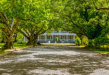 Mauritius – See? No Sea! Part-2 Chateau de Labourdonnais as viewed from its sprawling gardens - Travelure ©