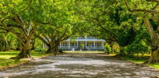 Mauritius – See? No Sea! Part-2 Chateau de Labourdonnais as viewed from its sprawling gardens - Travelure ©