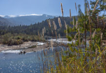 Adventure @ Mechuka – Adrenaline Flows at 6000 ft. While the day activities revolved around competitive adrenaline pumping sports, the tribal song and dance performances brought alive the evenings. - Adventure @ Mechuka - Adrenaline Flows at 6000 ft. - Travelure ©