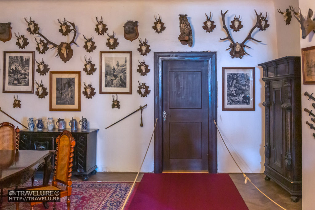 A display of hunting trophies - Travelure ©