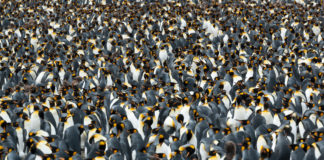 Travel Shaper Gary Arndt – Wisconsin – Everything-Everywhere.Com I once encountered a man in Oman who drove me from Nizwa to Muscat. He spoke no English and I spoke no Arabic. - Travel Shaper Gary Arndt - Wisconsin - Everything-Everywhere.Com - Travelure ©