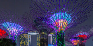 The Photography Masterclass — Everything I Know About Getting the Shot