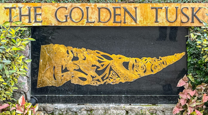 The Golden Tusk, Corbett – Fine Family Fun Spread over 10 acres, The Golden Tusk is in the buffer zone of Corbett. - The Golden Tusk, Corbett - Fine Family Fun - Travelure ©